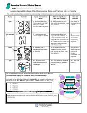 We would like to show you a description here but the site won't allow us. Video Recap Answered Pdf Amoeba Sisters Video Recap Dna Chromosomes Genes And Traits An Intro To Heredity The Vocab Below Builds A Foundation For Course Hero