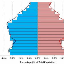 Learn more about these two types of column charts. Pdf Excel 2003 Pyramid Chart With Comparators