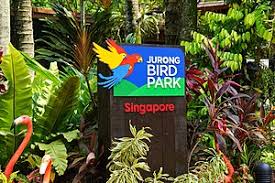 For avian lovers, jurong bird park singapore houses several species, along with fun exhibits and interactive shows. Jurong Bird Park Wikipedia