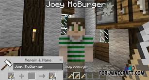 It features new bosses, ores, and weapons. Custom Npc Mod For Minecraft Pe 1 0 0 17 0