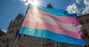 Rosa, weiß und blau, die farben, die die transgender gemeinschaft größe jeder trans fahne: Zuruck Ins Mittelalter Ungarns Parlament Verabschiedet Transfeindliches Gesetz Queer De
