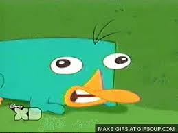 Maybe you would like to learn more about one of these? Platypus Gif Find On Gifer