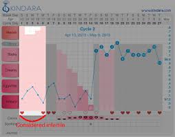 The 4 Rules Of Charting For Birth Control Natural Birth