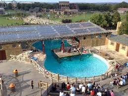 Maybe you would like to learn more about one of these? The Seal Of Approval Picture Of Flamingo Land Malton Tripadvisor