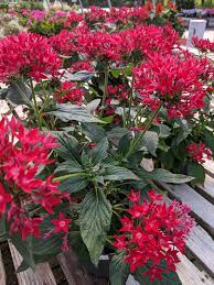 409 likes · 119 were here. Country Gardens Of Easton Home Facebook