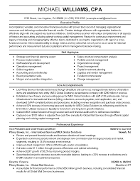 Professional Financial Executive Templates To Showcase Your Talent Myperfectresume