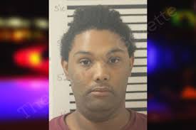 Devon Akins — Toombs County Jail Bookings