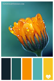 Not only do they give you color ideas (with hex codes) for your next project, you can use these posters to decorate your studio, office or home. Color Palette Outstanding Orange Paper Heart Design