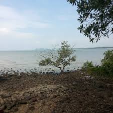 Port dickson's pasir panjang has a forest tucked at coastal straits of malacca. Photos A Hutan Lipur Pasir Panjang Pasir Panjang
