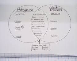 Wpusd Twelve Bridges Middle School Current Unit Photosynthesis Teaching Biology Biology Lessons