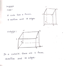 How Many Vertices, Faces, And Edges Does A Cuboid Have?