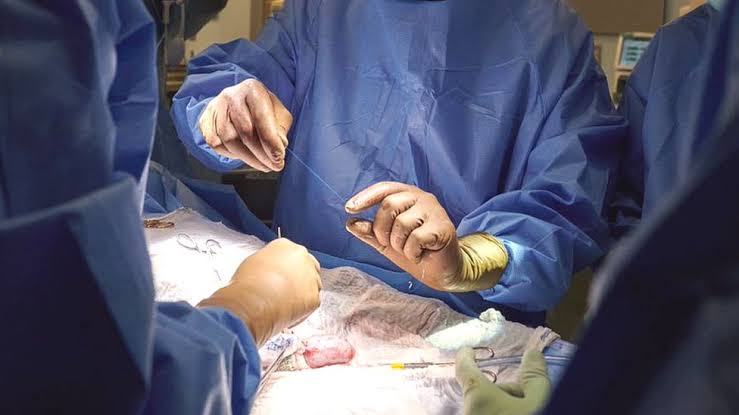 Kidneys from genetically altered pig successfully implanted in brain-dead man in US