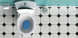Toilet was originally a french loanword (first attested in 1540) that referred to the toilette (little cloth) um eine toilette zu befreien! Klo Verstopft Die Besten Tipps Wenn Die Toilette Verstopft Ist Herold