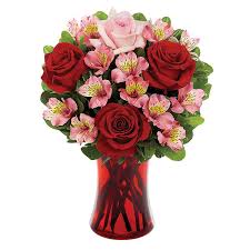 Maybe you would like to learn more about one of these? Same Day Flower Delivery Terrys Florist
