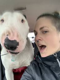 Dylan Shannon Obituary (1979