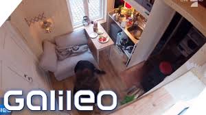 Das haus liegt in einer breiten strasse. 6 4qm Eine Wohnung Fur 100 Miete Wie Geht Das Galileo Prosieben Youtube