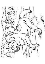 coloriage d un grand loup courant dans la foret animaux les vengeurs iron man coloriages