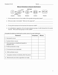 Biology 11.4 meiosis worksheet answer key class date draw two homologous pairs of chromosomes (in different colors if you have them) in these diagrams to illustrate what happens during these three phases of meiosis. Meiosis Matching Worksheet Answer Key Elegant 16 Best Of Steps Meiosis Worksheet Answers Biology Worksheet Scie In 2021 Biology Worksheet Science Worksheets Cell Cycle