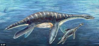 Kraken is a steel roller coaster located at seaworld orlando in the united states.manufactured by bolliger & mabillard, the ride opened as the second longest floorless coaster in the world on june 1, 2000, with a track length measuring 4,177 feet (1,273 m). Giant Squid Similar To Kraken Found On Google Earth Daily Mail Online