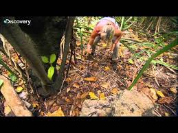 Pierce and ruth travel to different places on earth to show how to survive in harsh conditions. Man Woman Wild Ep 2 Coconut Crab Hunter Youtube