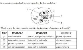 which row in the chart correctly identifies the functions of