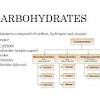 Do carbs make you retain water? Https Encrypted Tbn0 Gstatic Com Images Q Tbn And9gcszahnp0cdnsdzv1msaw3g23zkuiy4ilbh89 Glpzqymb1mmnql Usqp Cau