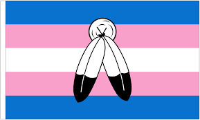 My goal is to win the olympics so i can burn a us flag on the podium, wolfe reportedly said in a now deleted facebook post on march 25. Two Spirit Transgender Flag Transgender Flags Pride