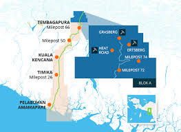 Sebutkan 4 peranan pt freeport indonesia sebagai salah satu pusat keunggulan ekonomi. Pt Freeport Indonesia