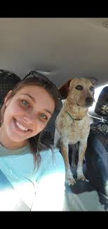 Lost Blue Heeler Puppy in Roane County WV