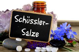 Schussler Salze Wirkung Anwendung