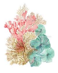 The tutorials here will show you how to paint, photopaint, and create digital art in all kinds of ways using painter's wide variety of brushes and features. Digital Download Beach House Decor 8x10 And 18x24 Pink And Beige Coral Reef Painting Wall Art Printable Watercolor Mint Coral Reef Watercolor Art Collectibles Efp Osteology Org