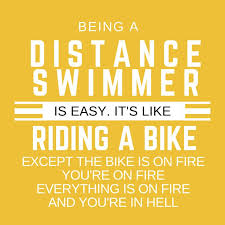 Swimming is a confusing sport, because sometimes you do it for fun, and other times you do it to not die. Distance Swimmer Shirt Swimming Tshirt Swimming Quotes Funny Swimming Quotes Swimming Motivational Quotes