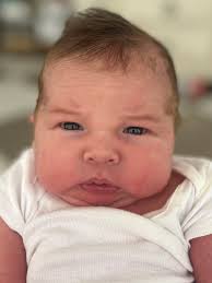 New family addition in St. Joseph