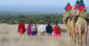 While riding the camel you can enjoy a good view beyond the. Camel Safaris In Kenya Karisia Walking Safaris