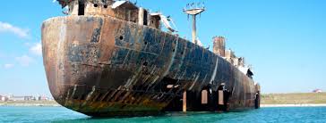 Va oferim cazare in casute de lemn date in folosinta in 2017 avand ca dotari pat dublu matrimonial, fotoliu. Litoralul Romanesc Intre Agonie Si Extaz Nicu Durla