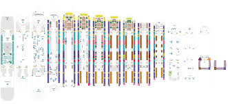 Complete updated allure of the seas' deck plans. Allure Of The Seas Deckplans Cruiseind