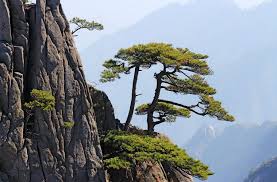 Trekking Adventure In You