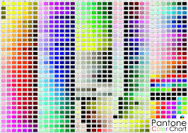 Pantone Full Color Chart 24 X 36 Flat