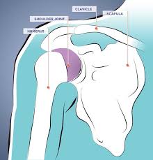 Pin On Your Health Your Body