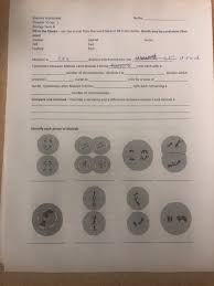 Cell division clipart etc cell biology cell division mitosis. Name Meiosis Worksheet Chapter 10 Sec 1 Biology Chegg Com