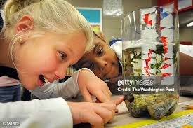 6,432 If Lora Stock Photos, High-Res Pictures, and Images