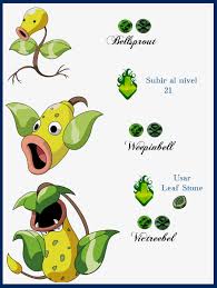 Bellsprout Evolution Chart