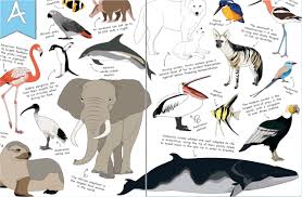 In it, mowgli hears the story of how the tiger got his stripes. The Ultimate Animal Alphabet Book The Bottom Shelf