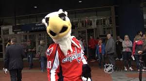 Discover and share the best gifs on tenor. Mascot Slapshot Go Crazy Gif Find On Gifer