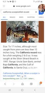 Plus, fish is typically low in fat, making it even more appealing to consumers, b ut according to the environmental defense fund, rockfish contains moderate levels of mercury. Rockfish Opener Record Sculpin San Diego Fishing Forums