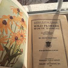 Mostly Void Partially Stars Hufflepuff Aesthetic Wild Flowers Books