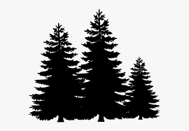 White snowman illustration, father christmas christmas tree christmas card, christmas hat with snowman, hat, festive elements png. Christmas Tree Clipart Vector Black And White Tree Clipart Hd Png Download Kindpng