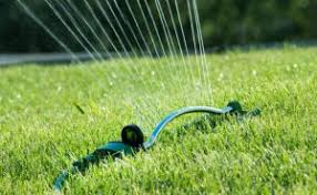 Normally a lawn should be watered deeply but infrequently, but when you are watering for new grass seed, you must water every day. Watering Newly Seeded Lawn Jonathan Green