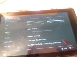 Preview the disk layout and then. Chinese Hacker Upgrades Nintendo Switch System Memory To 128gb Nintendosoup
