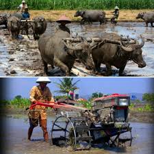 Petani membajak sawah dengan traktor quick kubota g3000 zeva. Menganalisis Perubahan Sosial Budaya Sketsa